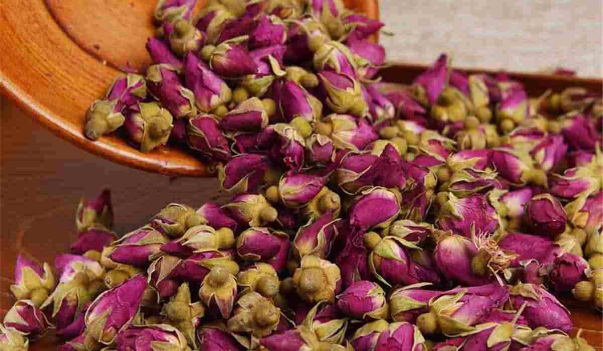 تصویر 3 از قیمت خرید غنچه گل محمدی خشک با فروش عمده